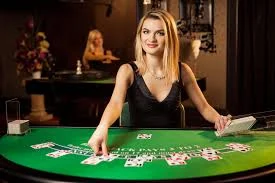 Ảnh minh họa SODO CASINO – Đá Gà SODOCASINO: Kinh Nghiệm Theo Dõi Trận Đấu Có Kiểm Soát